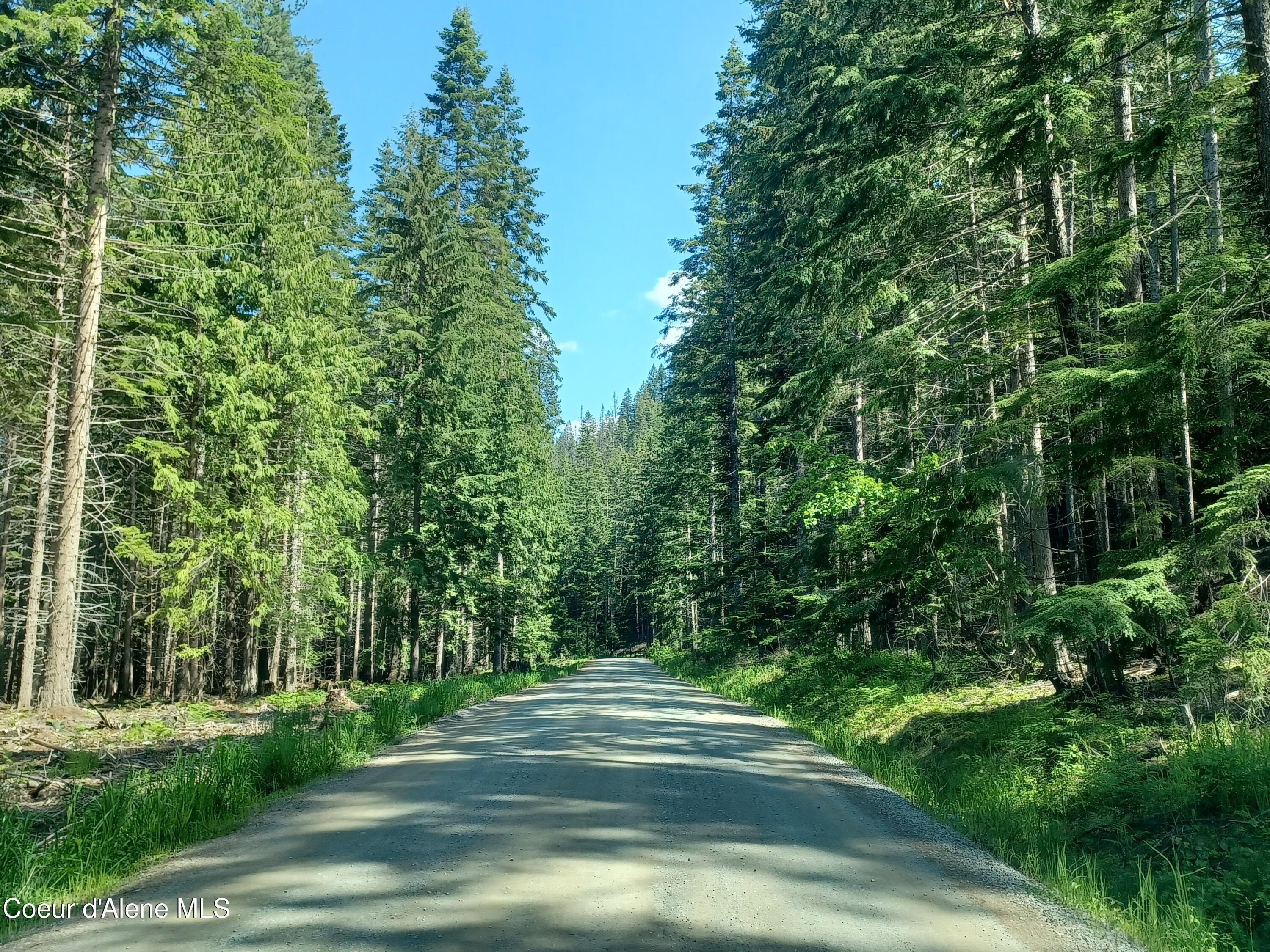 127 Coyote Trail Priest River, ID 83856 - Photo 20 of 29 Lower Quartz Creek Rd