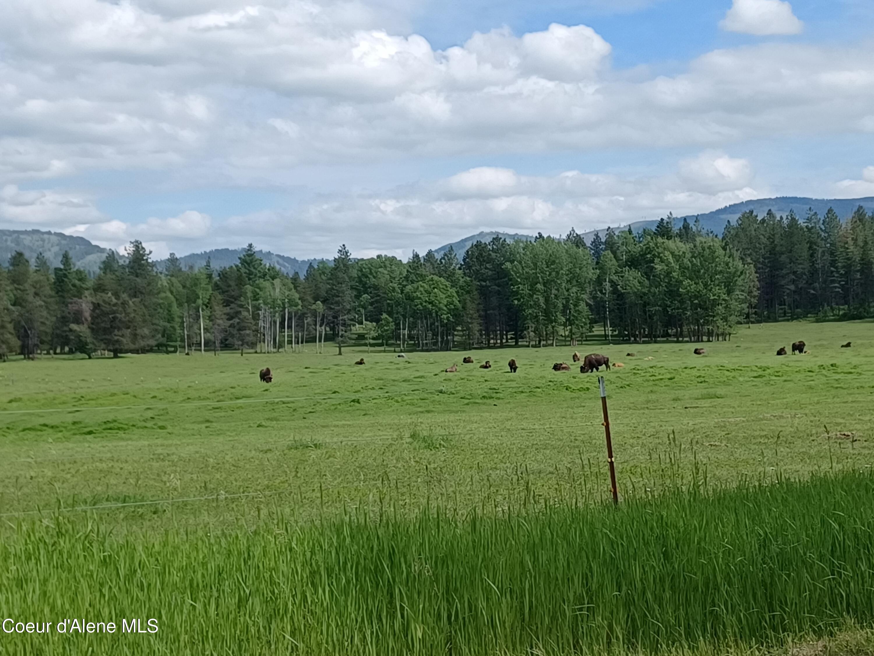 127 Coyote Trail Priest River, ID 83856 - Photo 27 of 29 Buffalo Ranch on Peninsula Rd