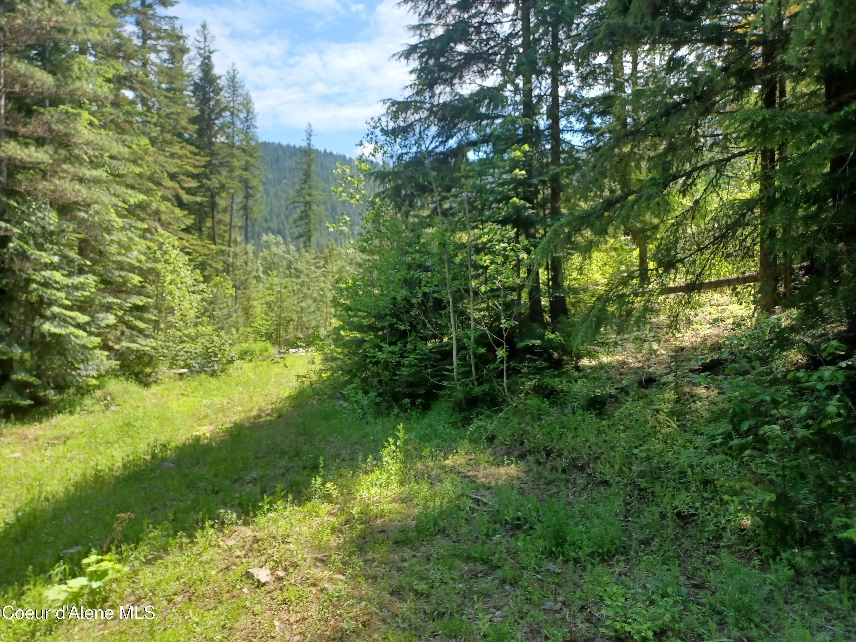 127 Coyote Trail Priest River, ID 83856 - Photo 6 of 29 Land