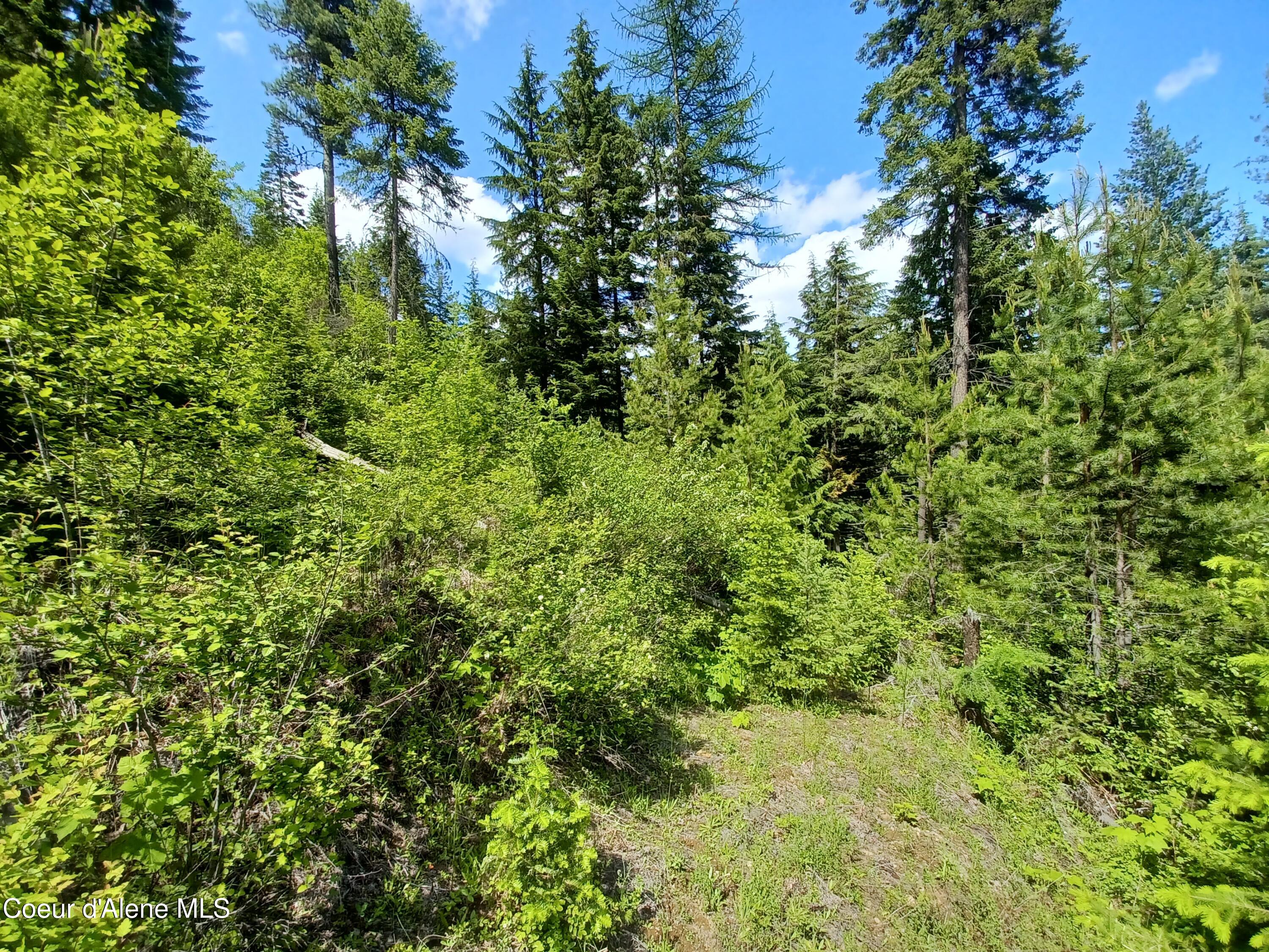 127 Coyote Trail Priest River, ID 83856 - Photo 10 of 29 Land