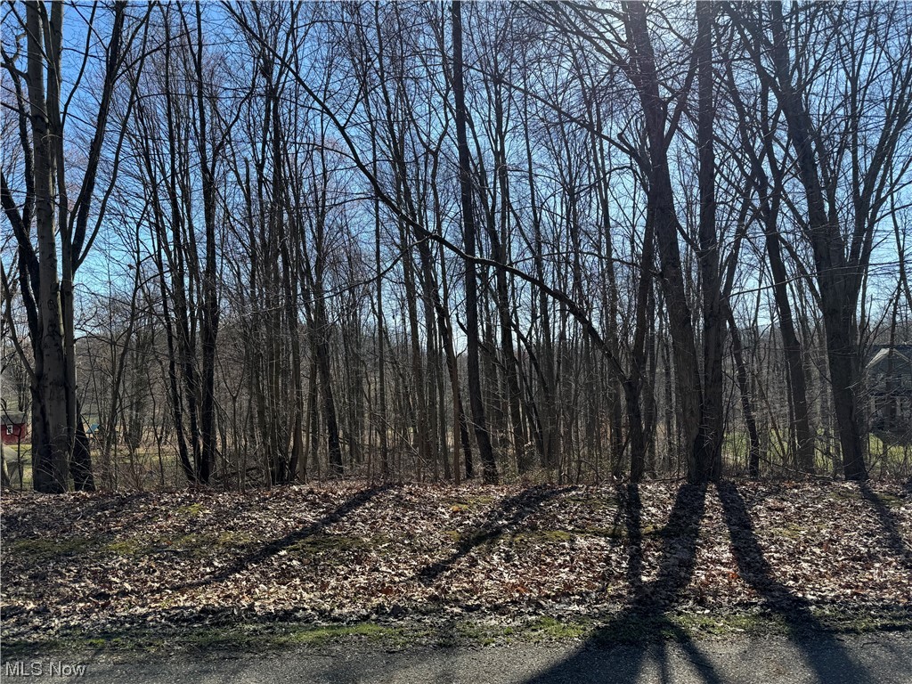 49081 Hickman Road East Liverpool, OH 43920 - Photo 1 of 3 View of nature