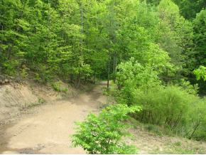 274 Lawing Road Chuckey, TN 37641 - Photo 1 of 1 Photo 1
