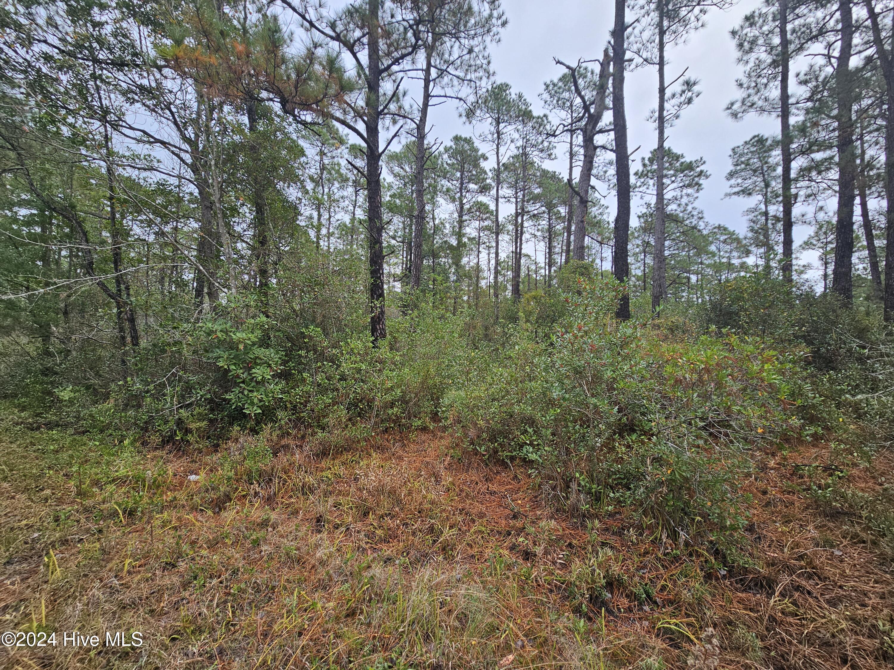 Lot 54 3rd Road Southport, NC 28461 - Photo 1 of 10 20241115_092428