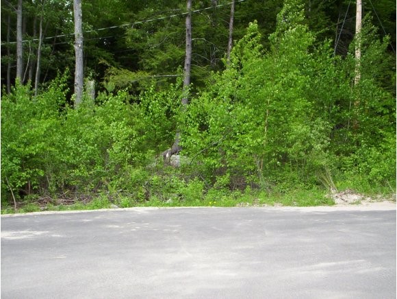 0 Currier Field Road Holderness, NH 03245 - Photo 1 of 1 Gallery Image 1