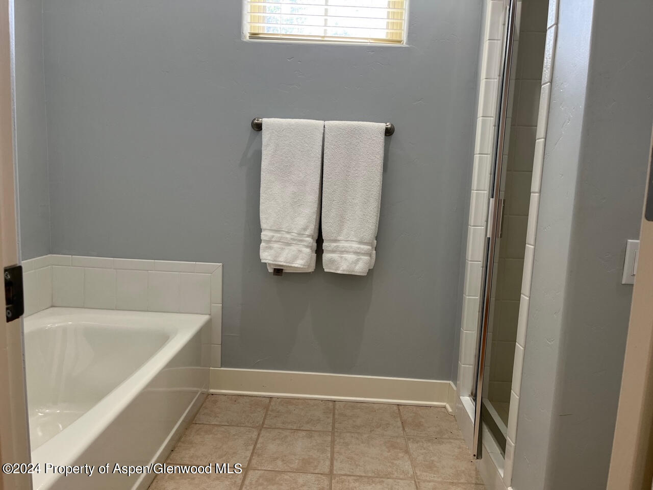 548 Evans Court Basalt, CO 81621 - Photo 11 of 24