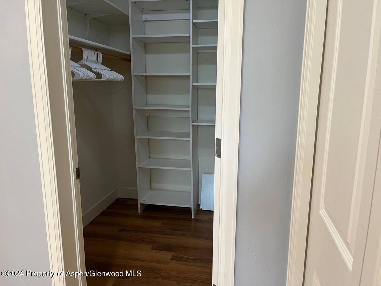 548 Evans Court Basalt, CO 81621 - Photo 12 of 24 a view of walk in closet with empty racks