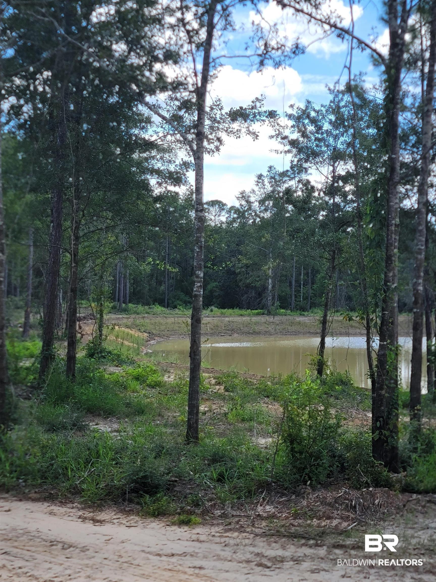 Lot 10 Wildflower Trail Daphne, AL 36527 - Photo 6 of 7