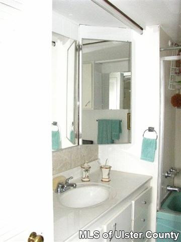 148 Rudy Frank Rd Extension Shandaken, NY 12480 - Photo 8 of 10 a bathroom with a sink and a mirror