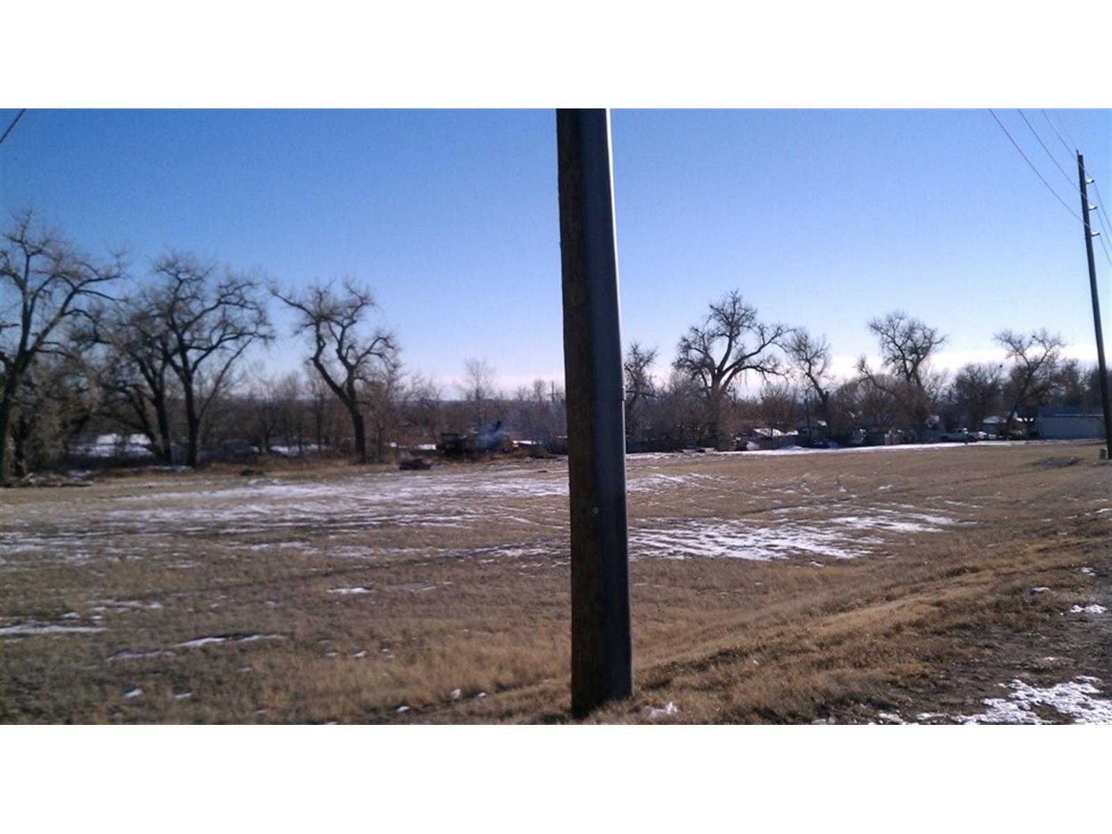 9160 Welby Road Thornton, CO 80229 - Photo 1 of 1 a view of a yard