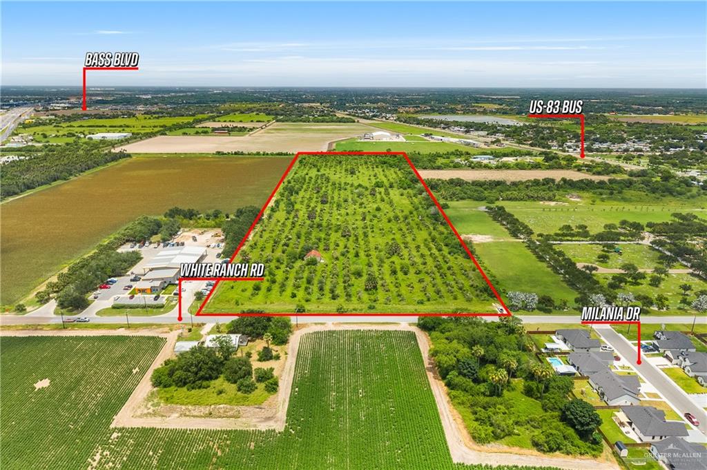 0 North White Ranch Road La Feria, TX 78559 - Photo 2 of 6 Expansive acreage featuring established rows of trees and direct road frontage on White Ranch Road