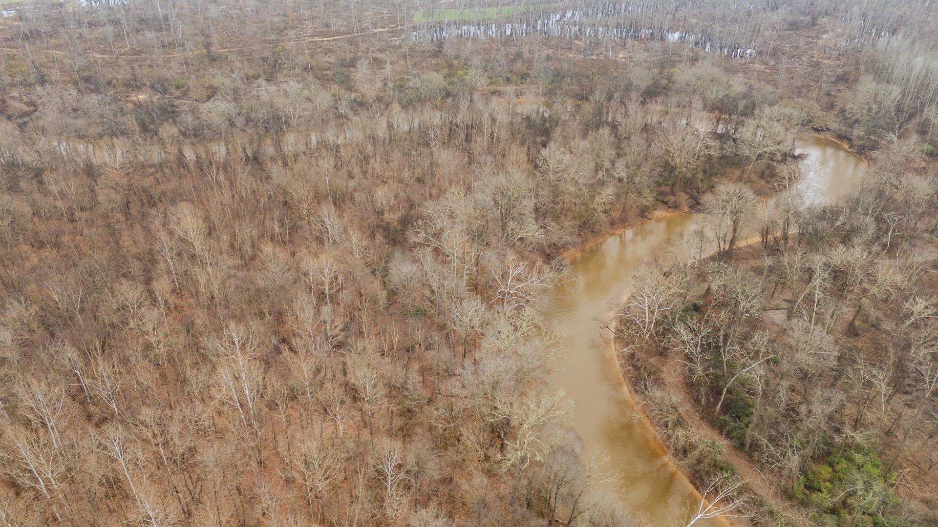 10970 Peavine Road Pocahontas, TN 38061 - Photo 16 of 26