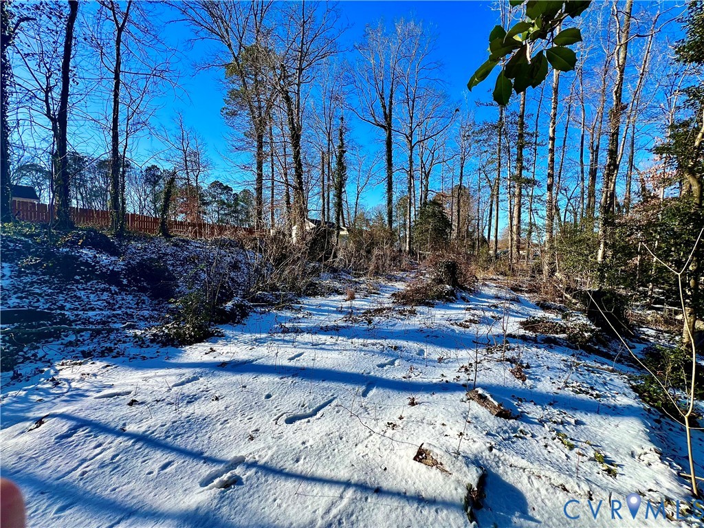 0 South Crater Road Petersburg, VA 23805 - Photo 3 of 5