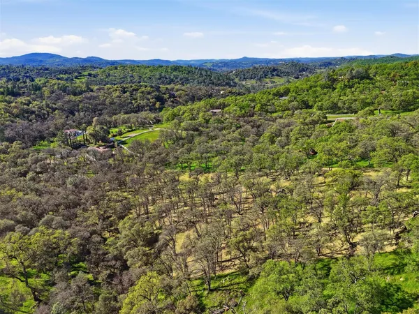 a view of a green field with lots of bushes