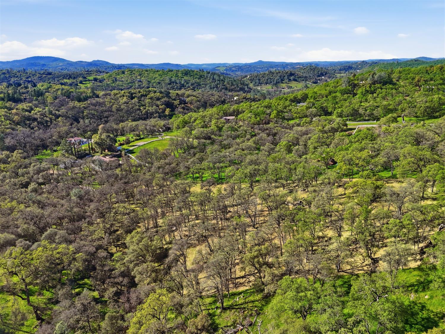 0 Grassy Run Road Placerville, CA 95667 - Photo 14 of 15 a view of a green field with lots of bushes