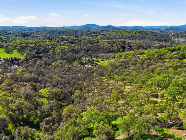 a view of a lush green field with lots of bushes