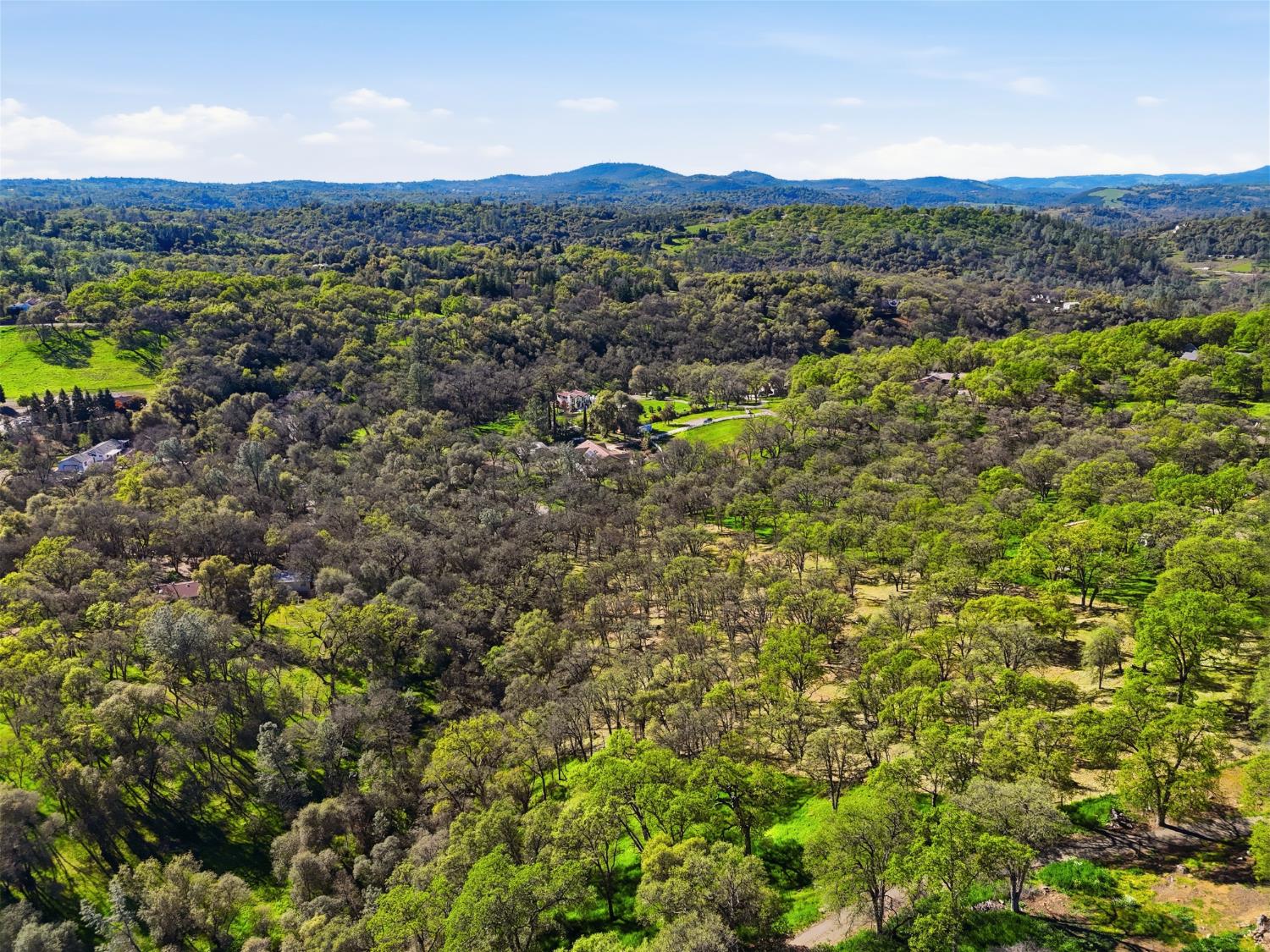 0 Grassy Run Road Placerville, CA 95667 - Photo 15 of 15 a view of a lush green field with lots of bushes