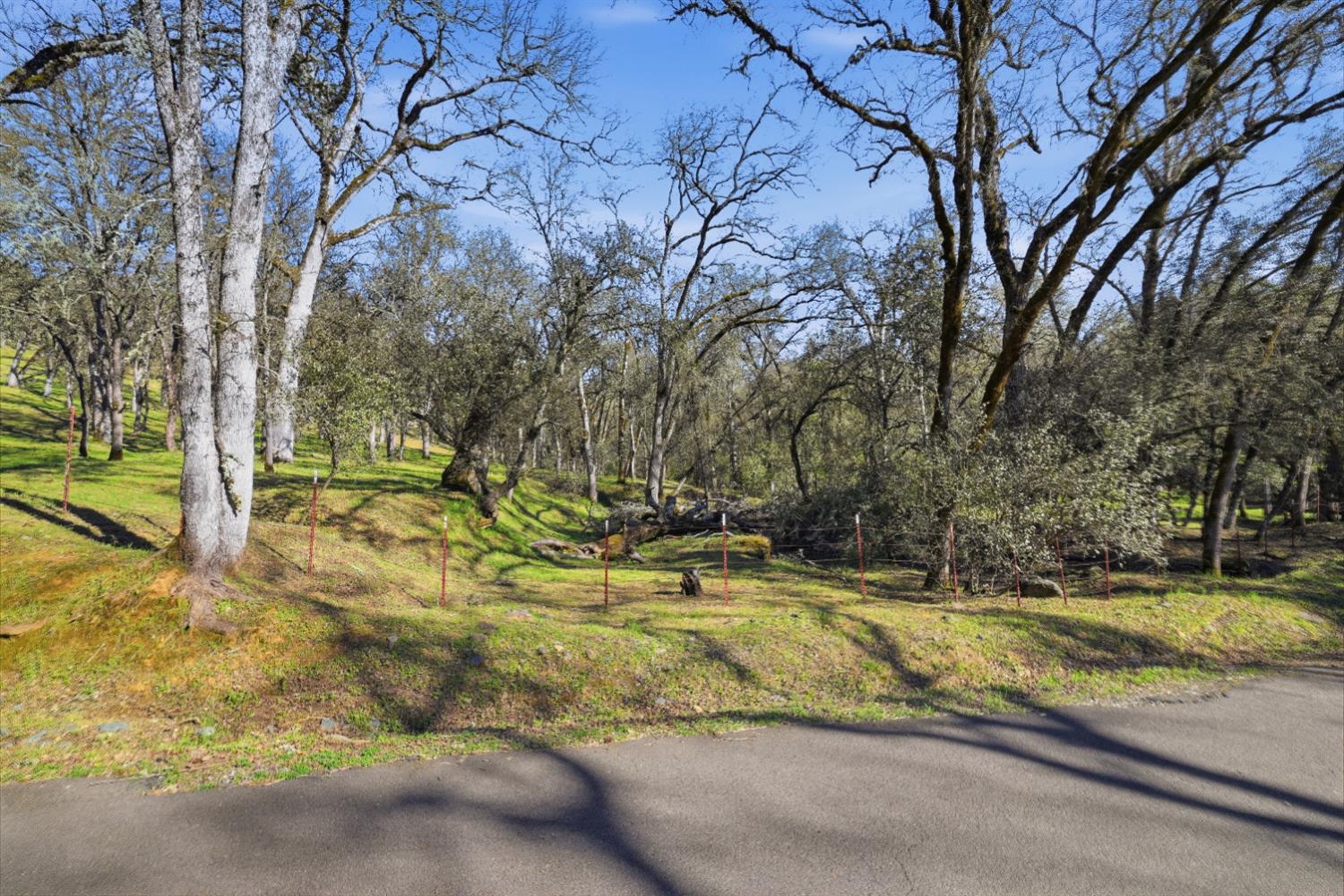 0 Grassy Run Road Placerville, CA 95667 - Photo 4 of 15 a view of swimming pool with trees