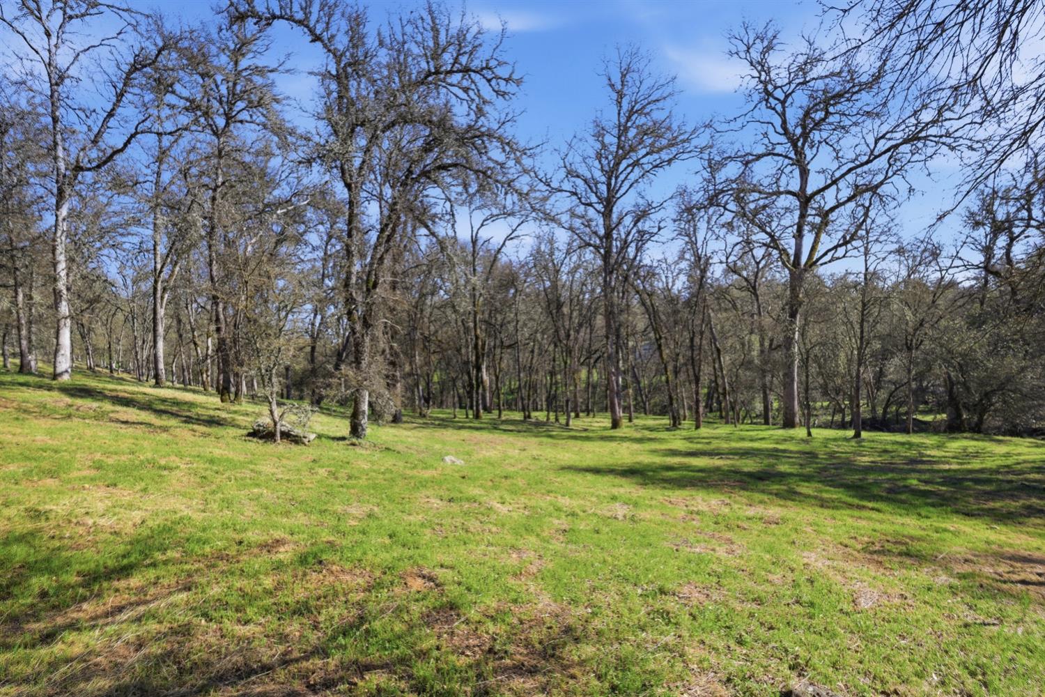 0 Grassy Run Road Placerville, CA 95667 - Photo 5 of 15 a view of a park with swings and slides