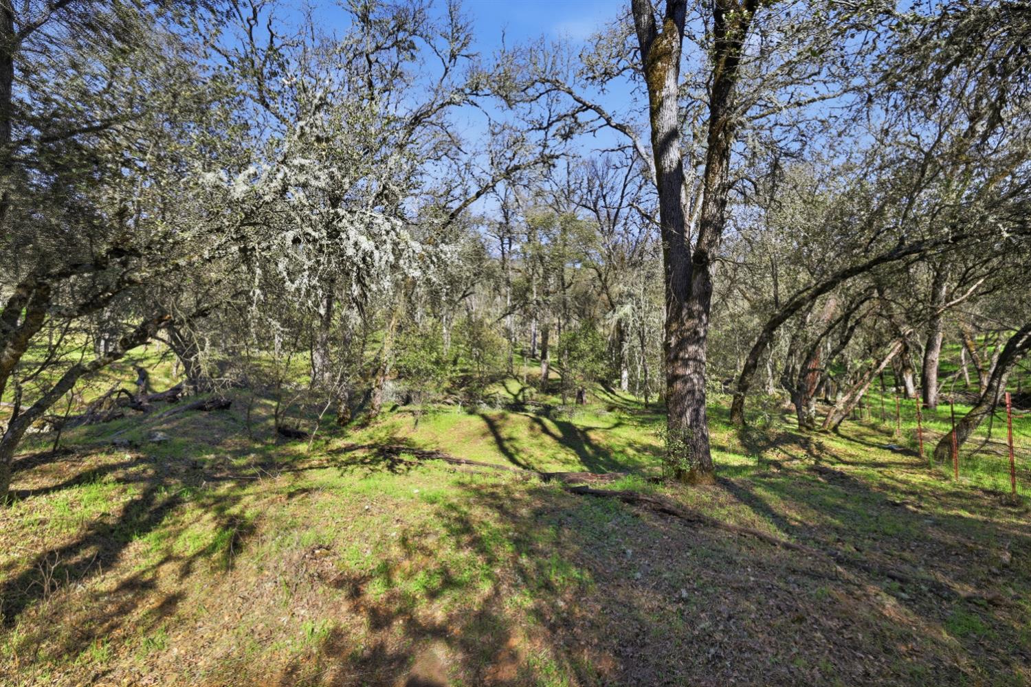 0 Grassy Run Road Placerville, CA 95667 - Photo 8 of 15 a view of a yard