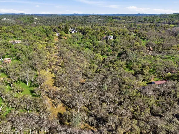 a view of a bunch of trees and bushes