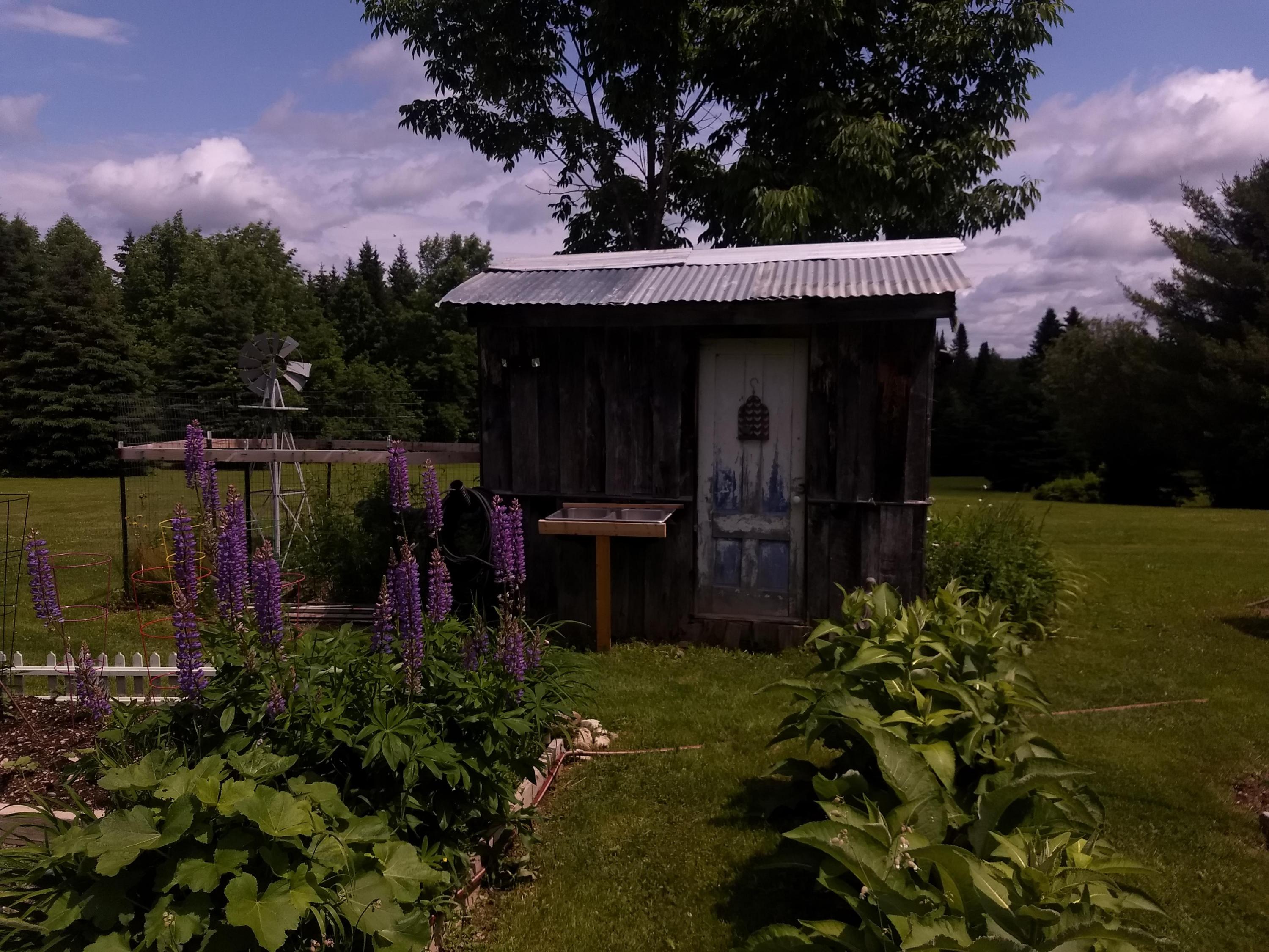 495 Wilcox Road Orient, ME 04471 - Photo 8 of 45 IMG_20190702_115154924