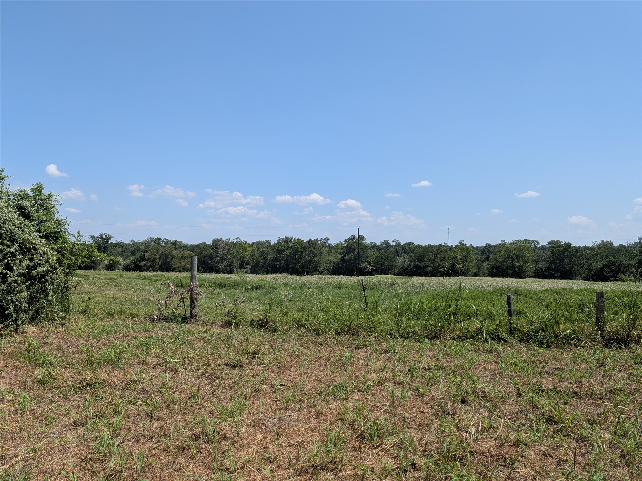 18320 Sweed Road Washington, TX 77880 - Photo 10 of 11 Gallery Image 10