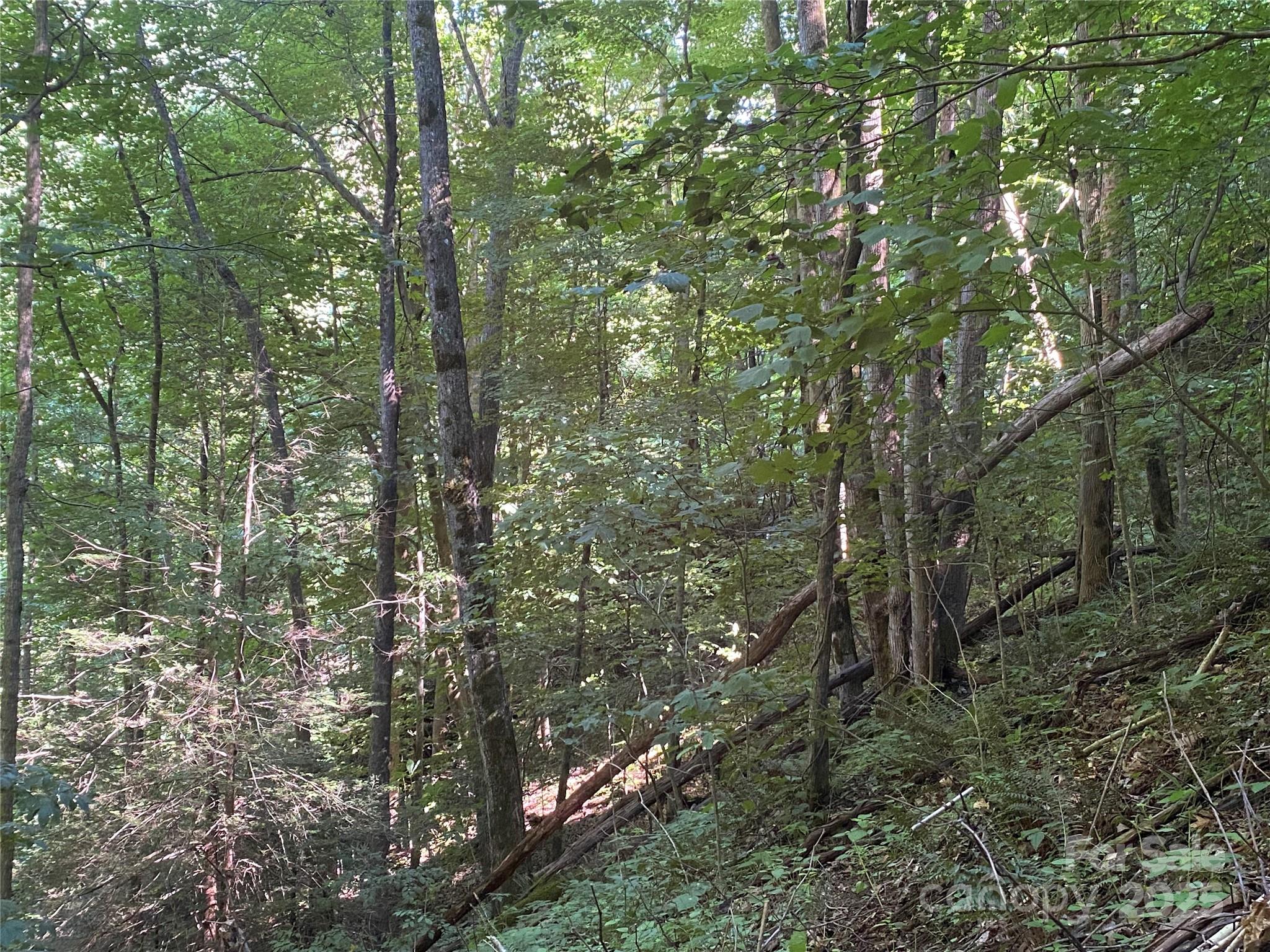 0 Big Laurel Road Marshall, NC 28753 - Photo 14 of 18