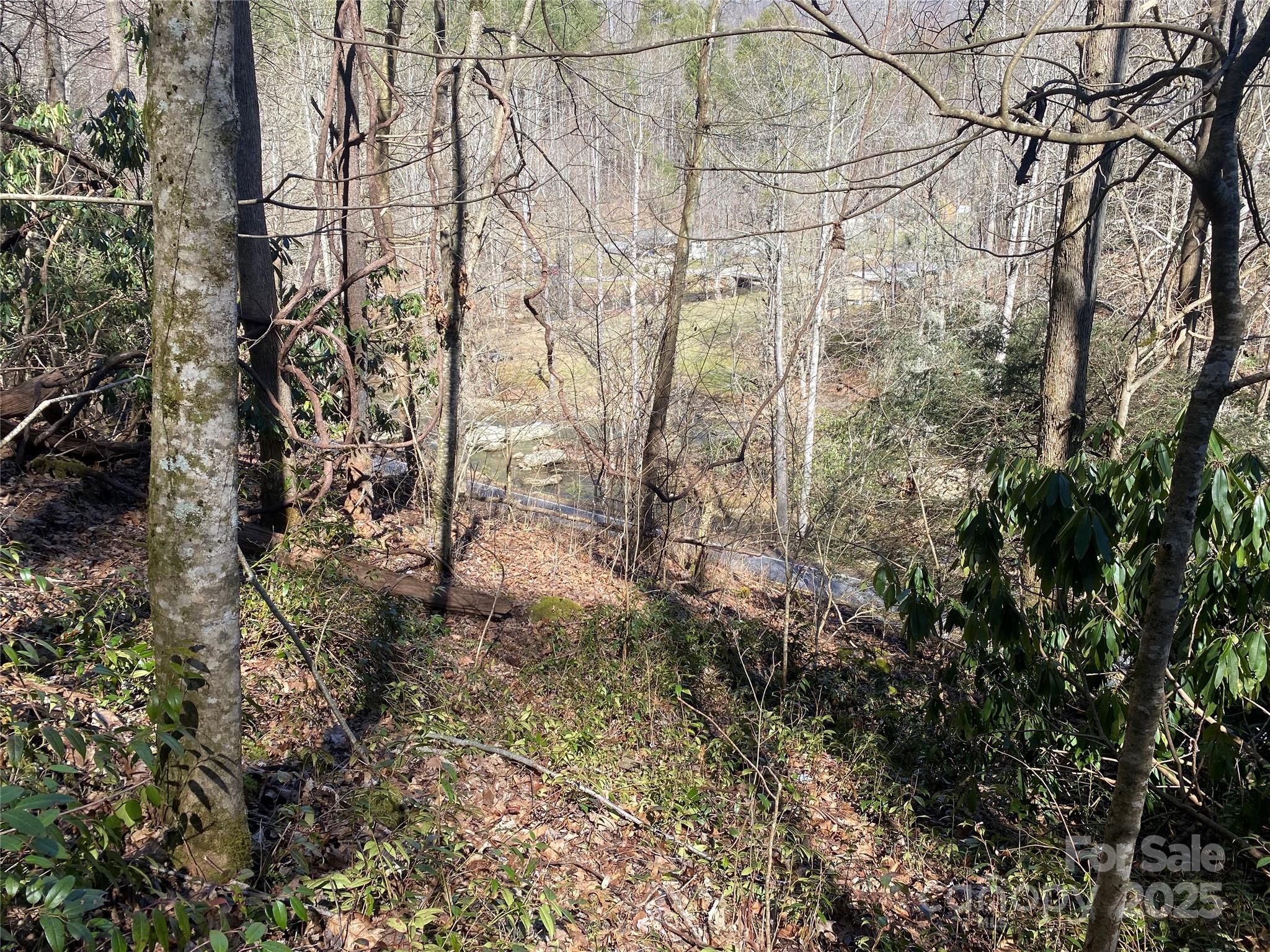 0 Big Laurel Road Marshall, NC 28753 - Photo 16 of 18