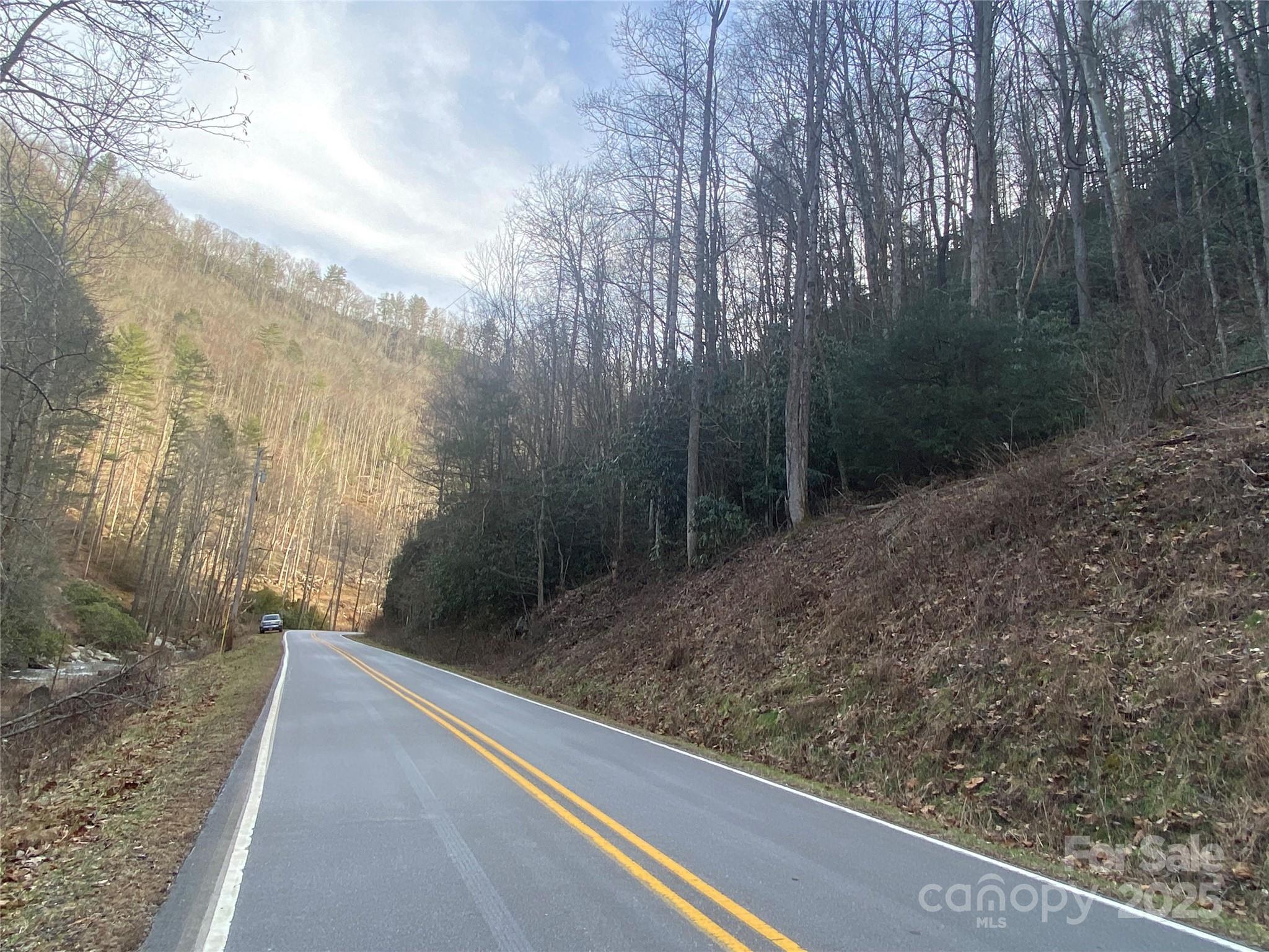 0 Big Laurel Road Marshall, NC 28753 - Photo 18 of 18