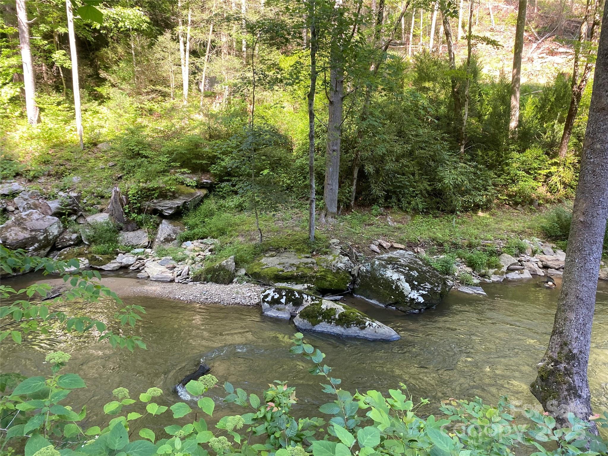 0 Big Laurel Road Marshall, NC 28753 - Photo 3 of 18