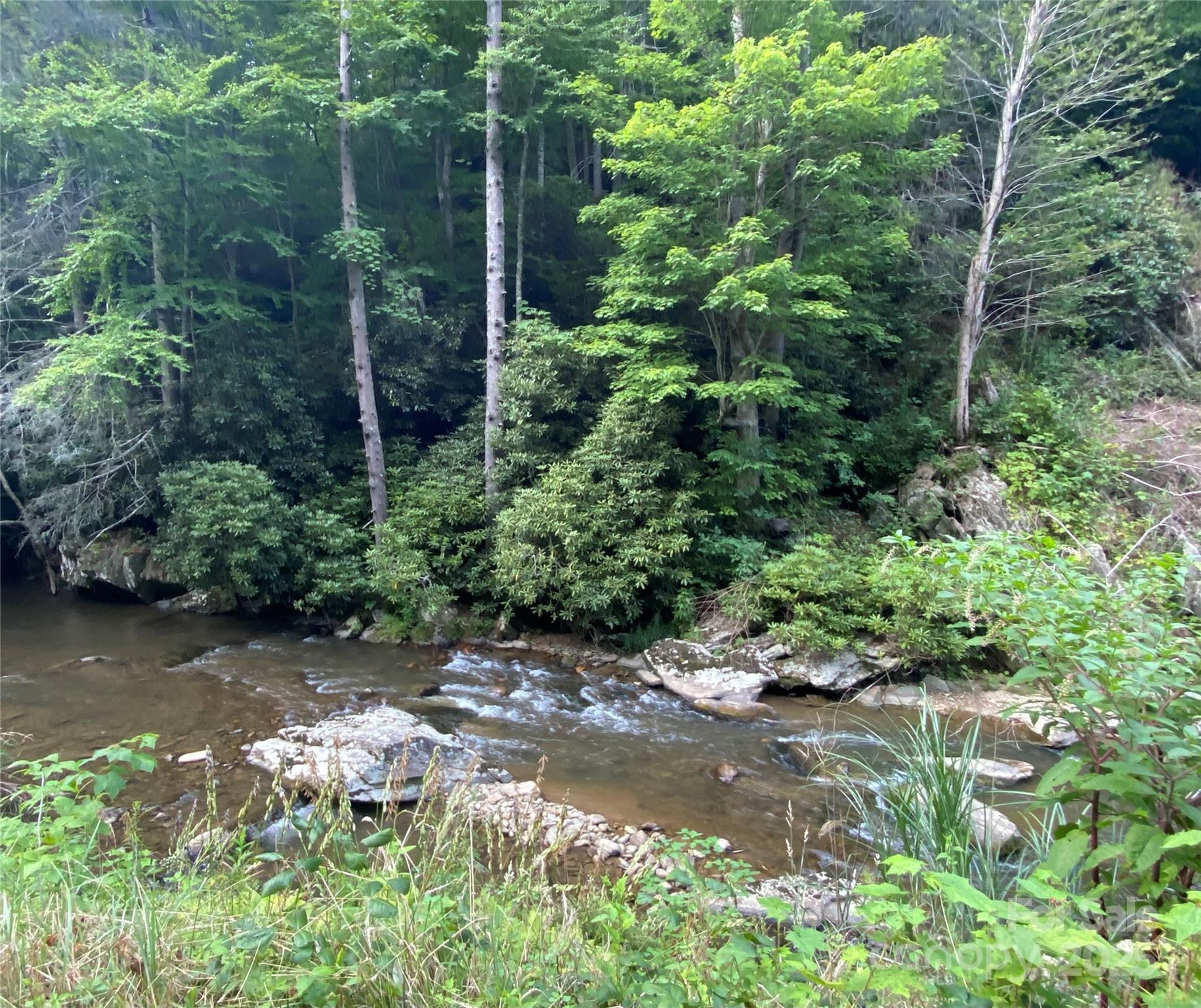 0 Big Laurel Road Marshall, NC 28753 - Photo 4 of 18