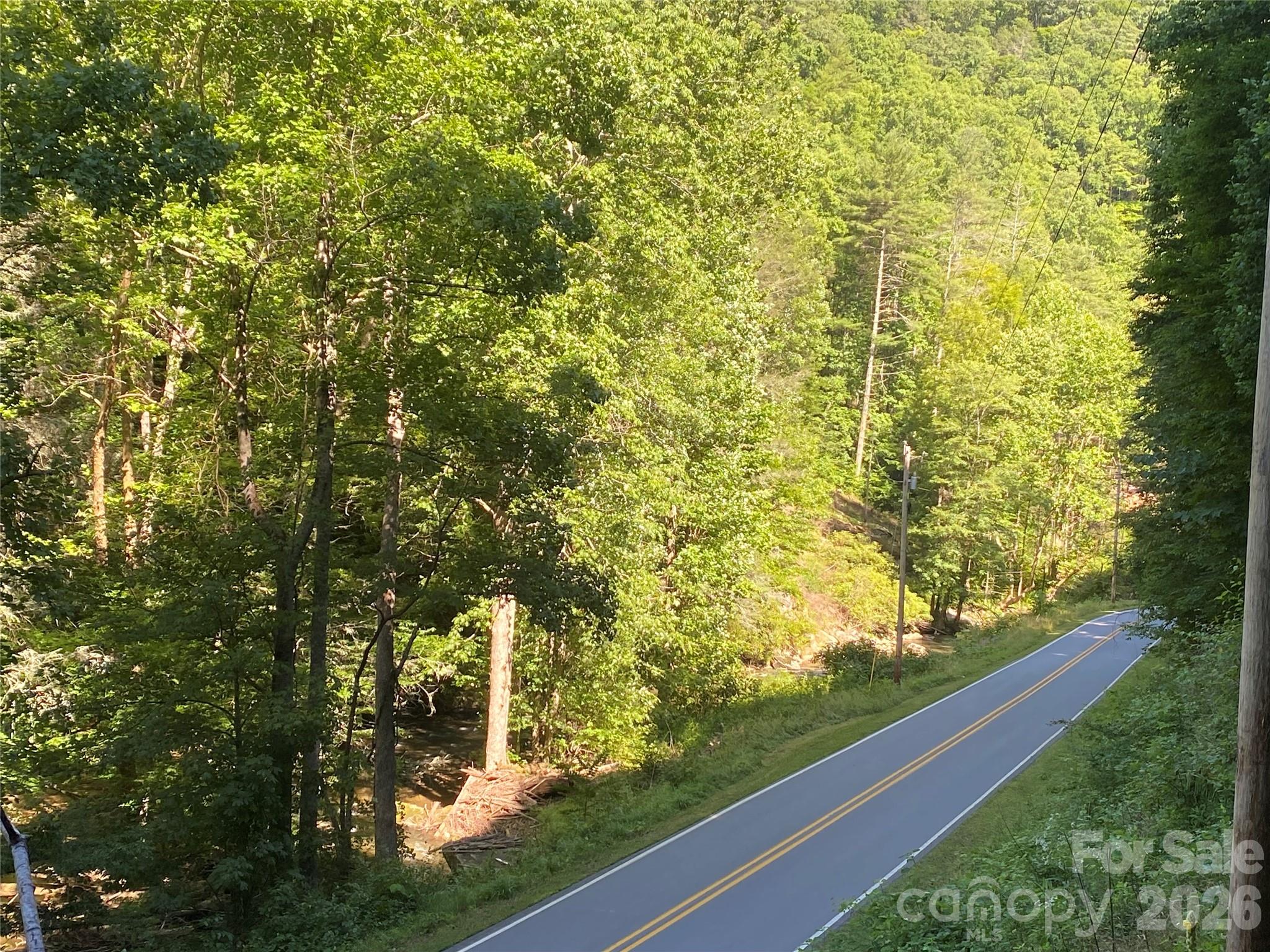 0 Big Laurel Road Marshall, NC 28753 - Photo 6 of 13 a view of a yard with an outdoor space