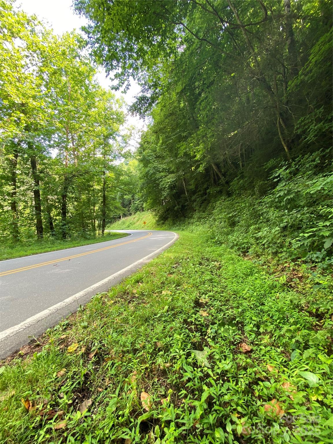 0 Big Laurel Road Marshall, NC 28753 - Photo 7 of 18