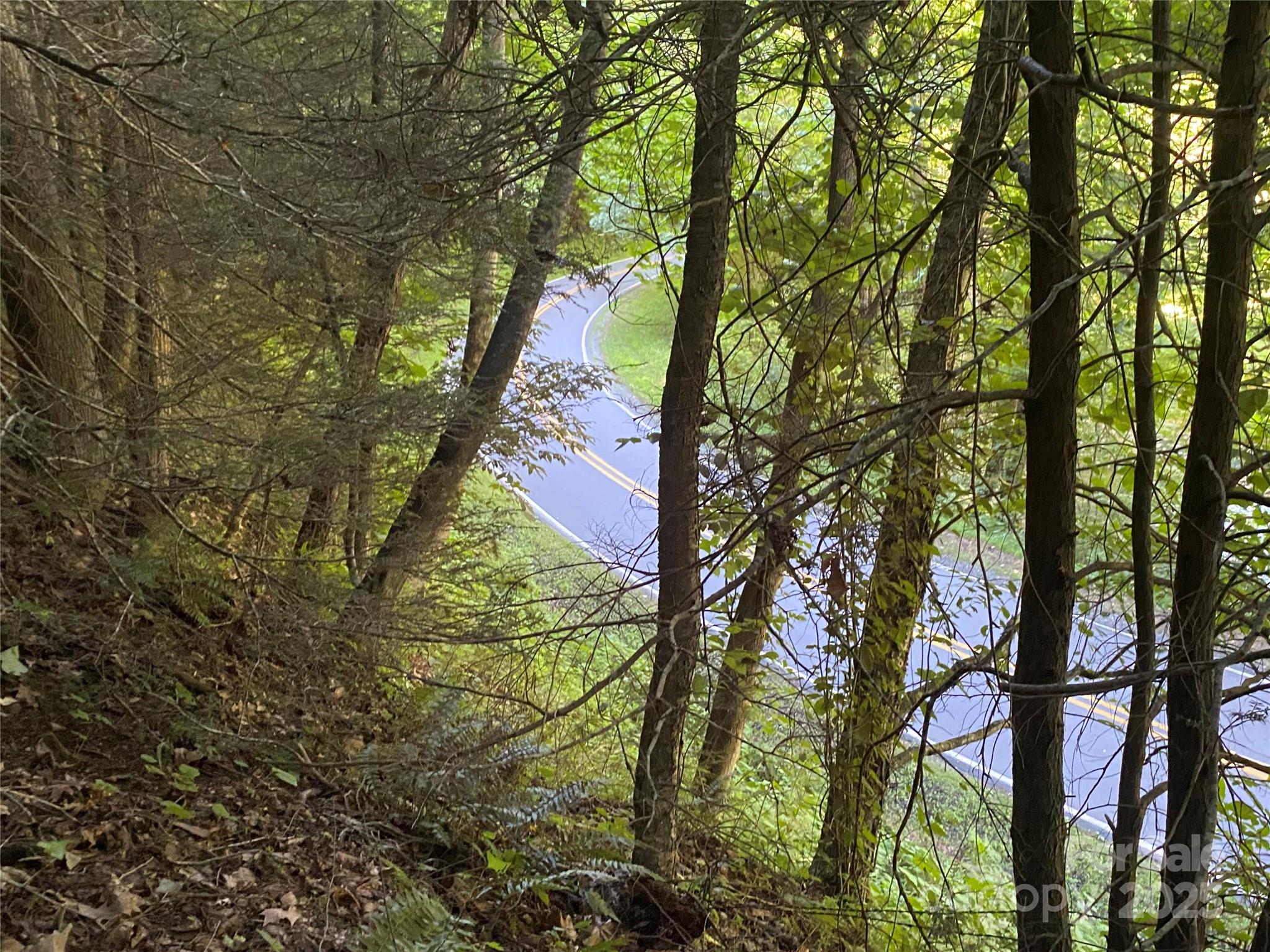 0 Big Laurel Road Marshall, NC 28753 - Photo 8 of 18