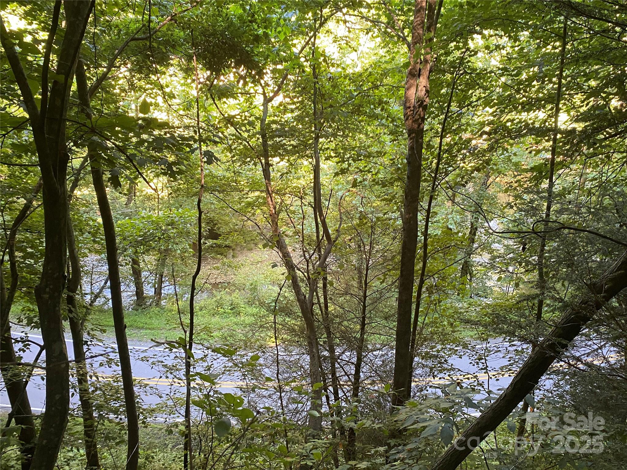 0 Big Laurel Road Marshall, NC 28753 - Photo 9 of 18