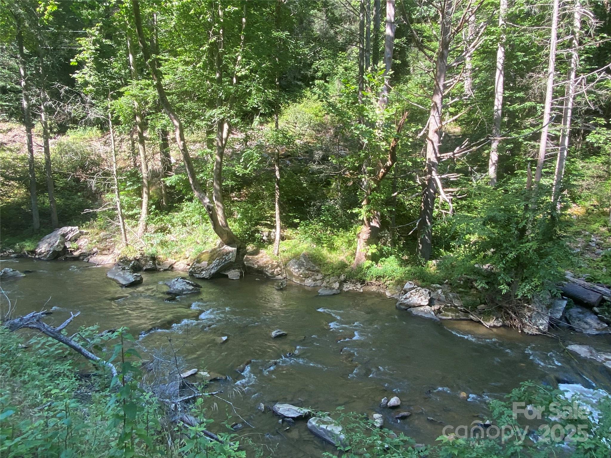 0 Big Laurel Road Marshall, NC 28753 - Photo 10 of 18