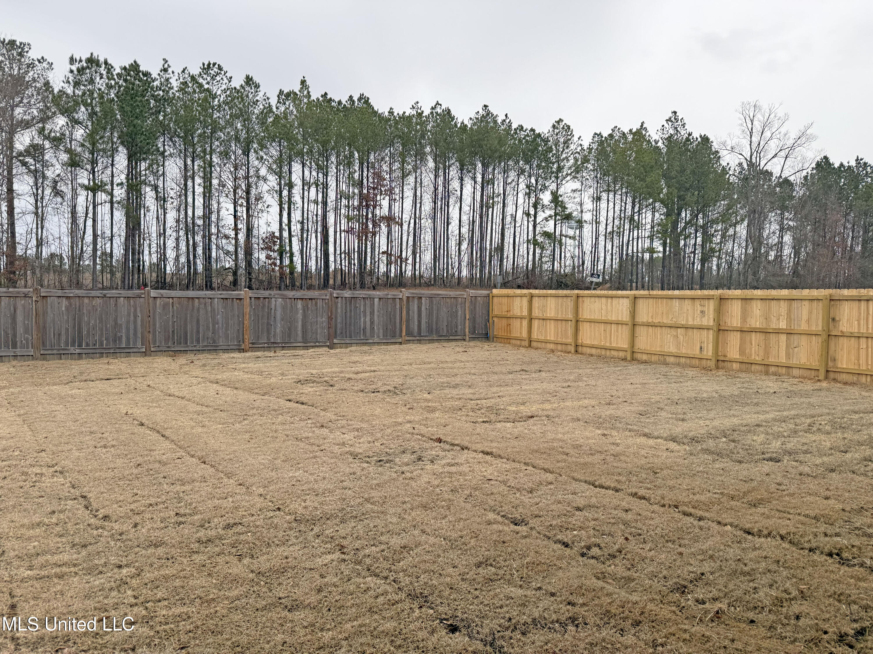 211 Wethersfield Drive Florence, MS 39073 - Photo 37 of 39 IMG_4521