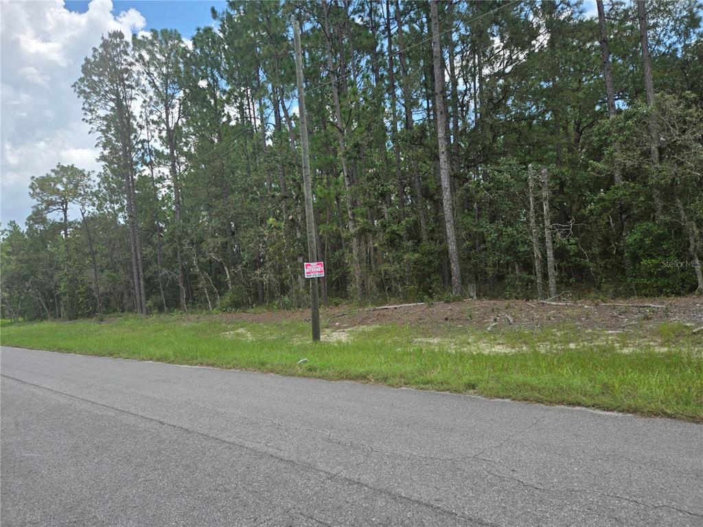 64 Southwest Sw Terrace Ocala, FL 34473 - Photo 1 of 1