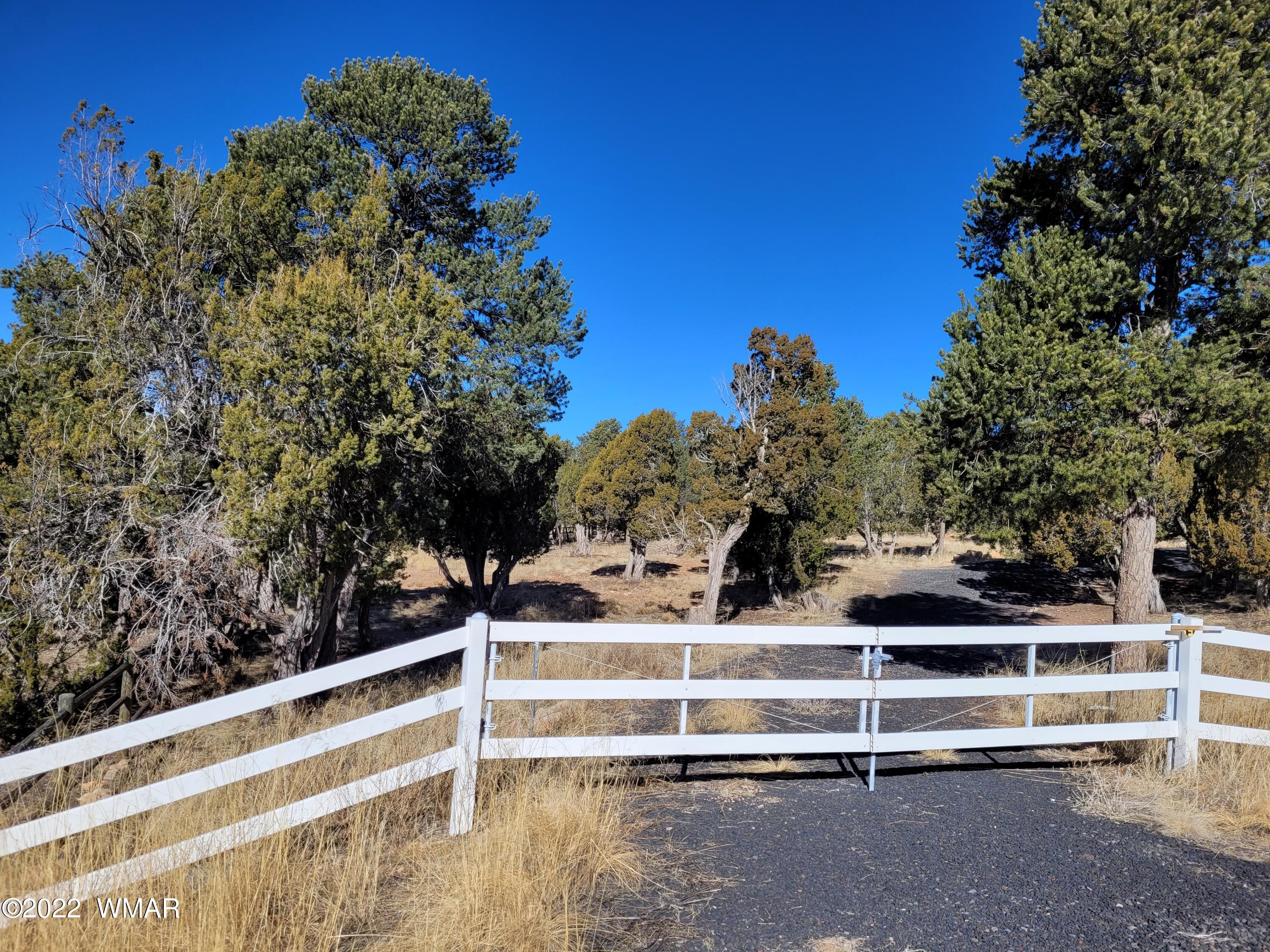 2970 Ranch House Road Overgaard, AZ 85933 - Photo 1 of 5 Gallery Image 1