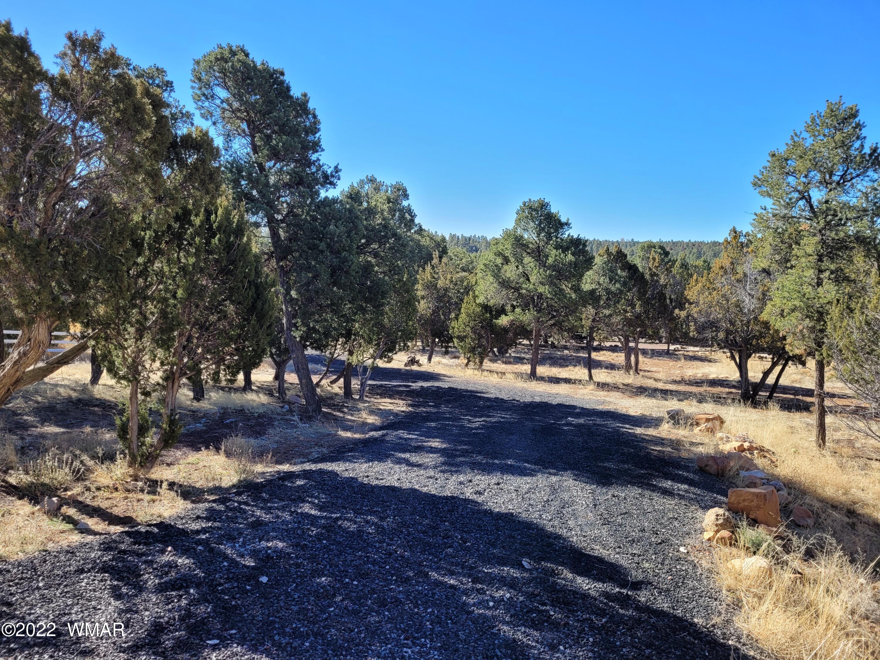 2970 Ranch House Road Overgaard, AZ 85933 - Photo 2 of 5 Gallery Image 2