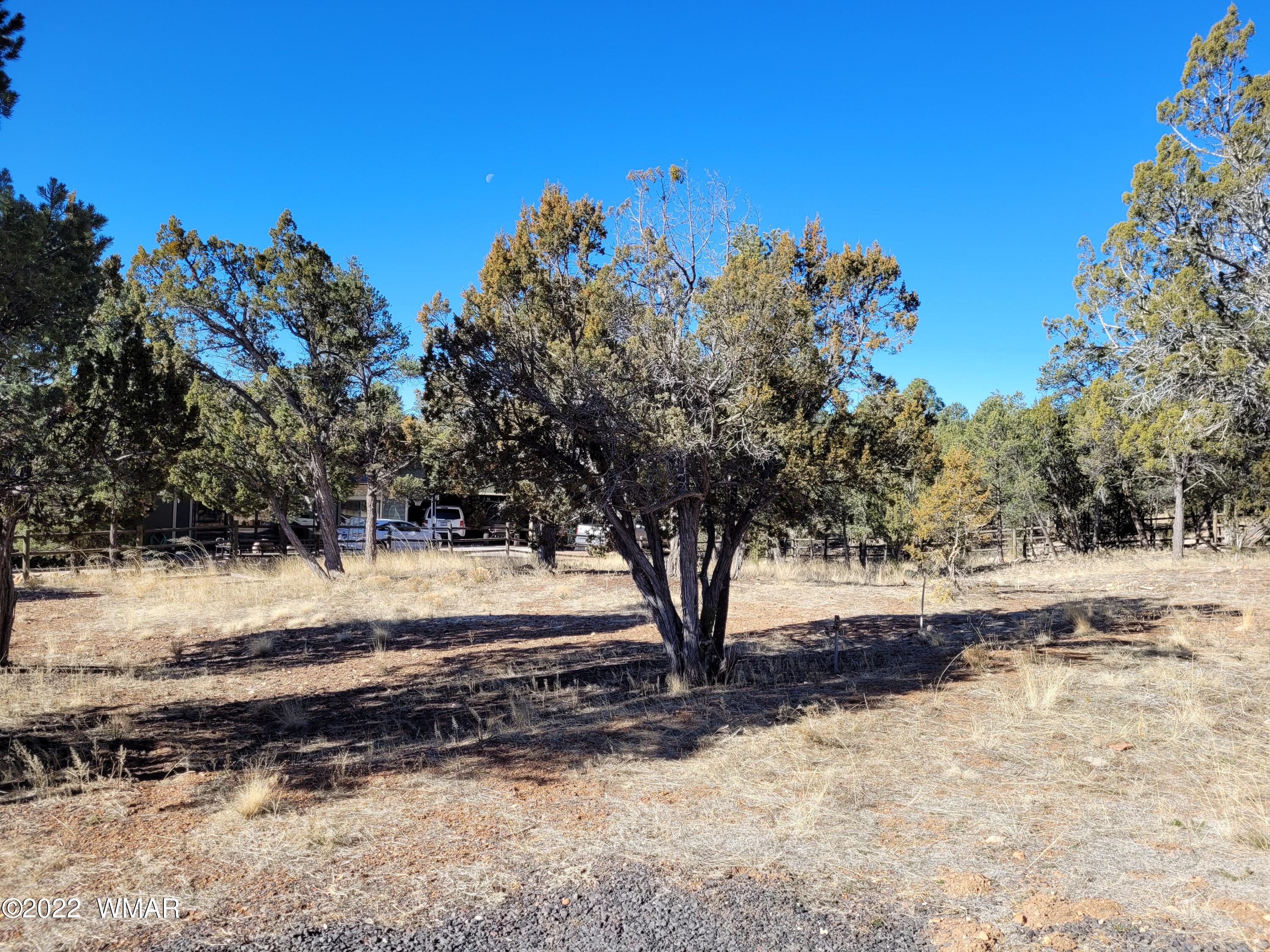 2970 Ranch House Road Overgaard, AZ 85933 - Photo 3 of 5 Gallery Image 3