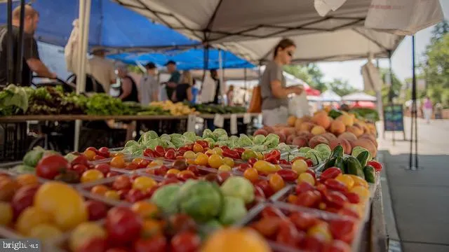 a view of road and trees