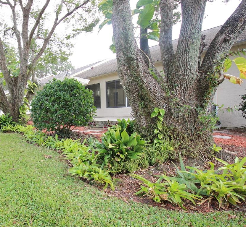 2113 Springmeadow Drive Spring Hill, FL 34606 - Photo 44 of 58 Gallery Image 44