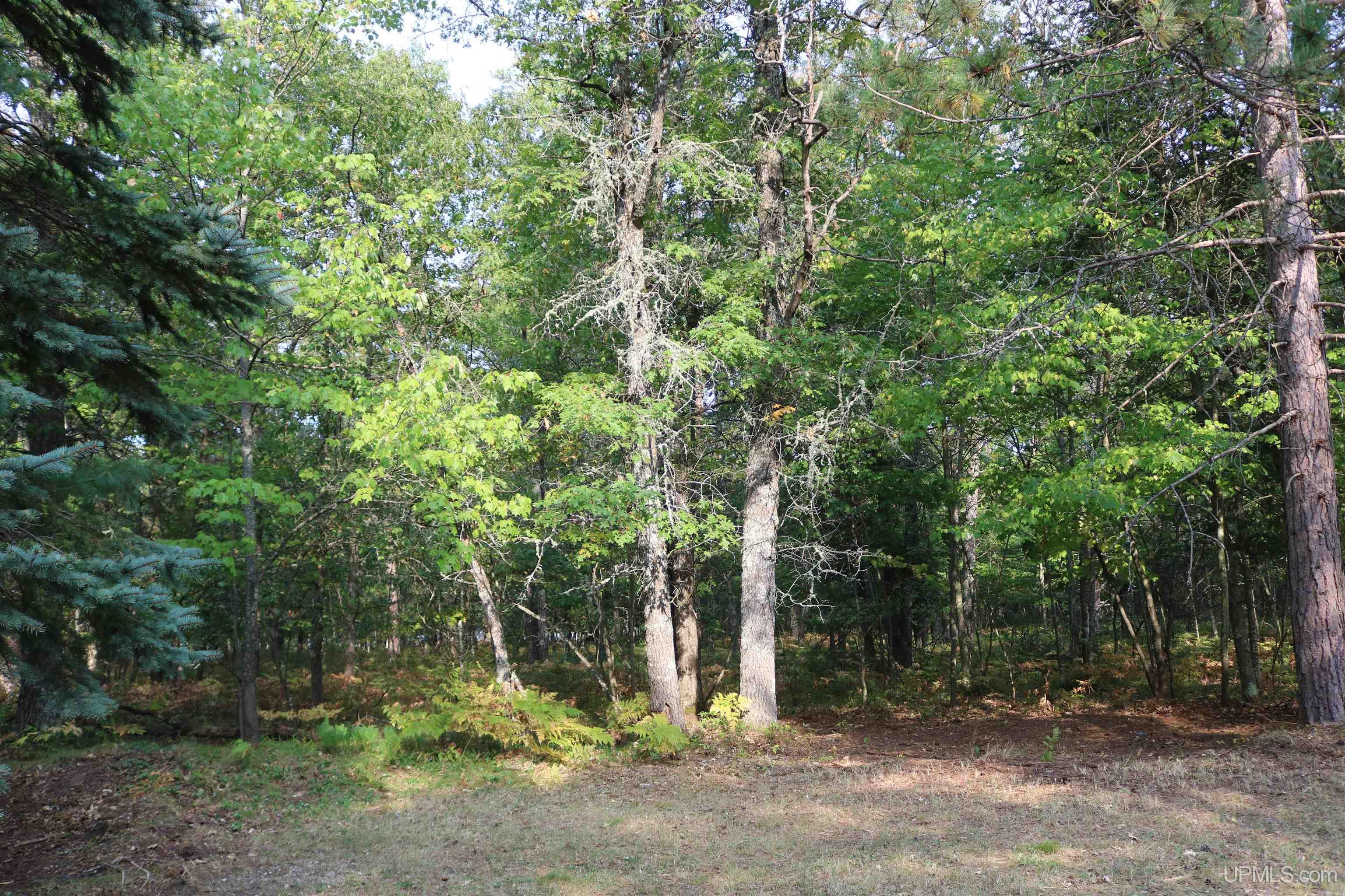 9752 County 513 T Road Rapid River, MI 49878 - Photo 18 of 24 Gallery Image 18