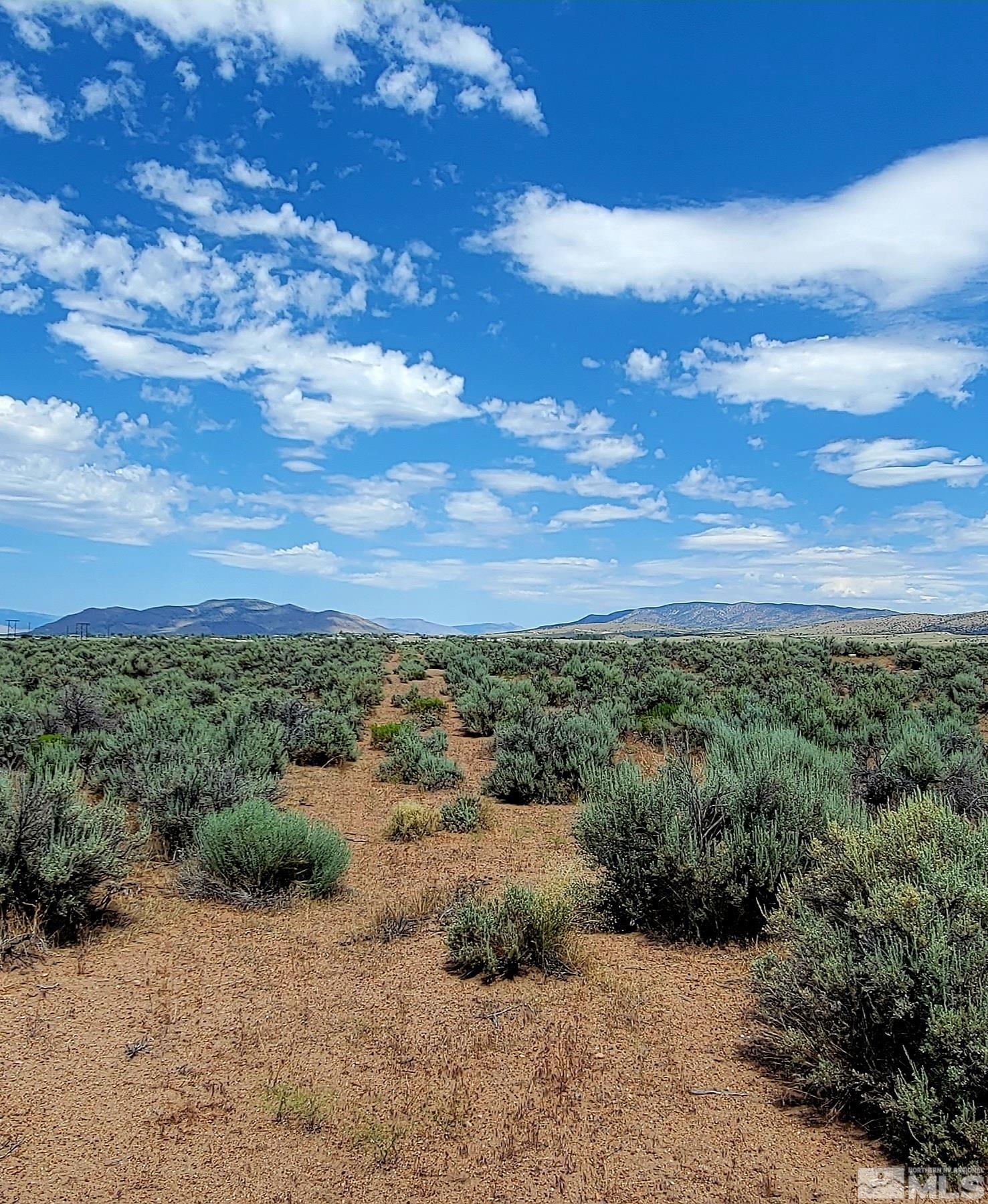 2013 East Valley Road Minden, NV 89423 - Photo 9 of 9 a view of a pathway with a yard