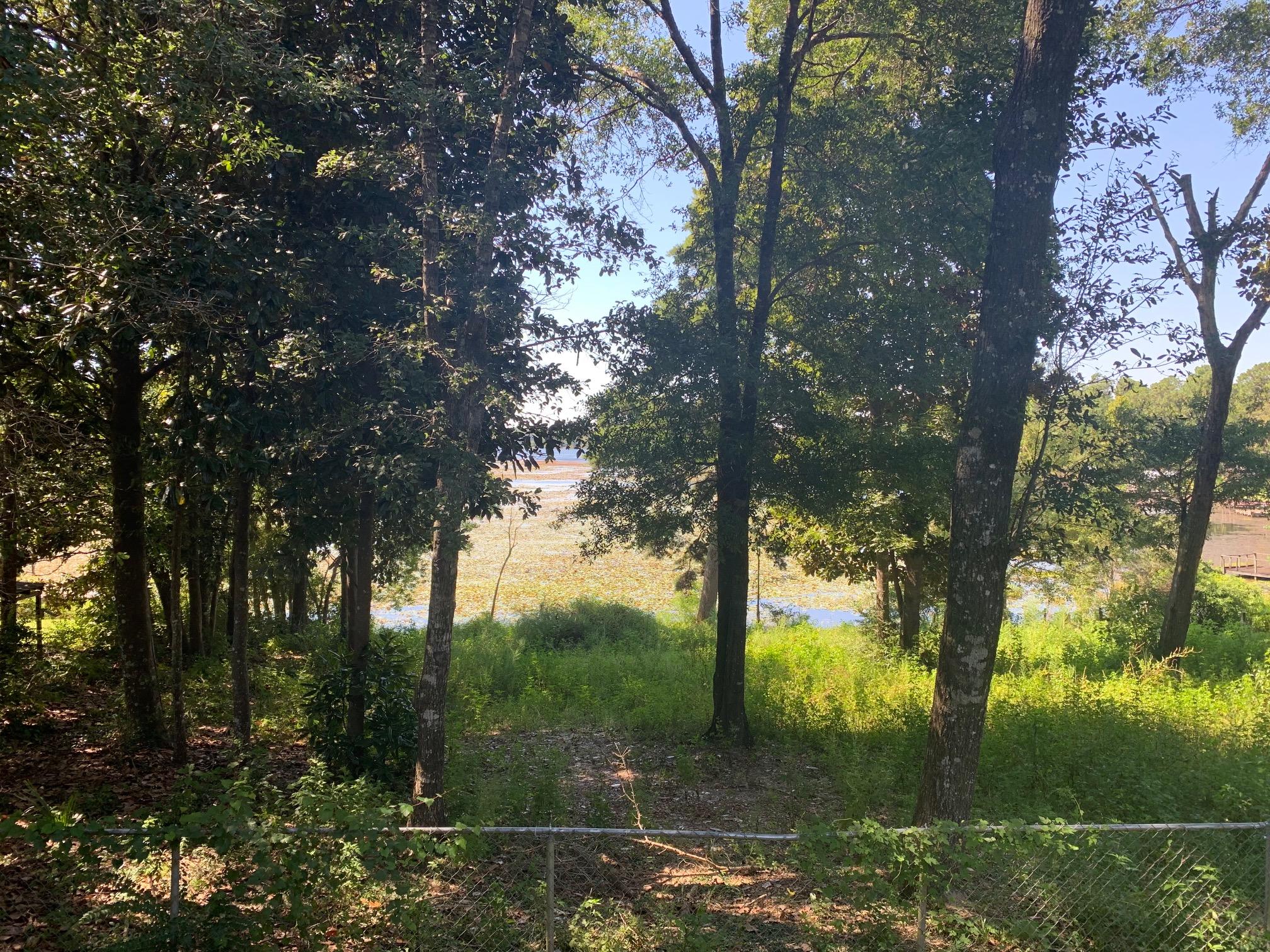 725 Squirrel Road DeFuniak Springs, FL 32433 - Photo 4 of 14 a view of a trees in a yard
