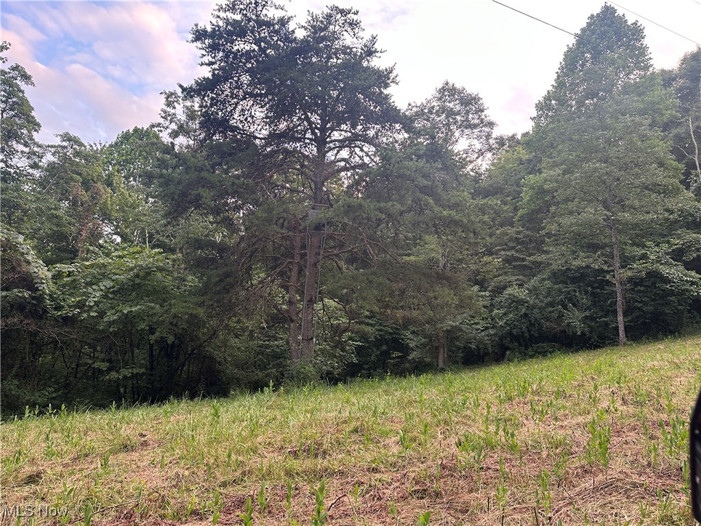 200 Frakes Road Lower Salem, OH 45745 - Photo 48 of 50 View of woods