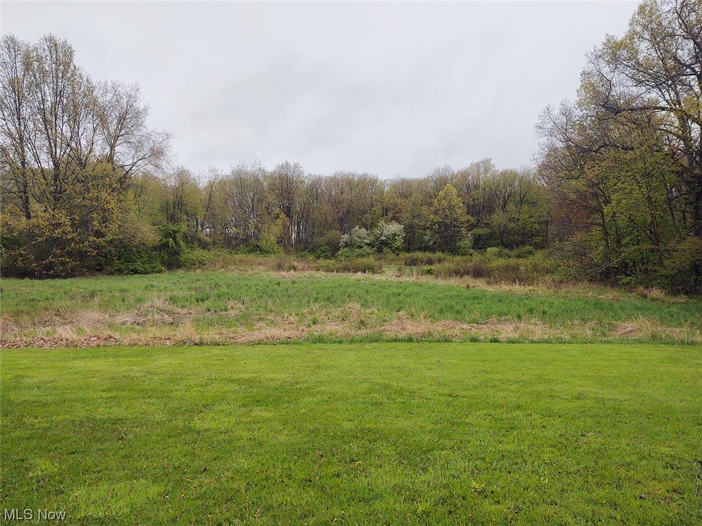 2929 Hayne Road Akron, OH 44312 - Photo 10 of 30 Gallery Image 10