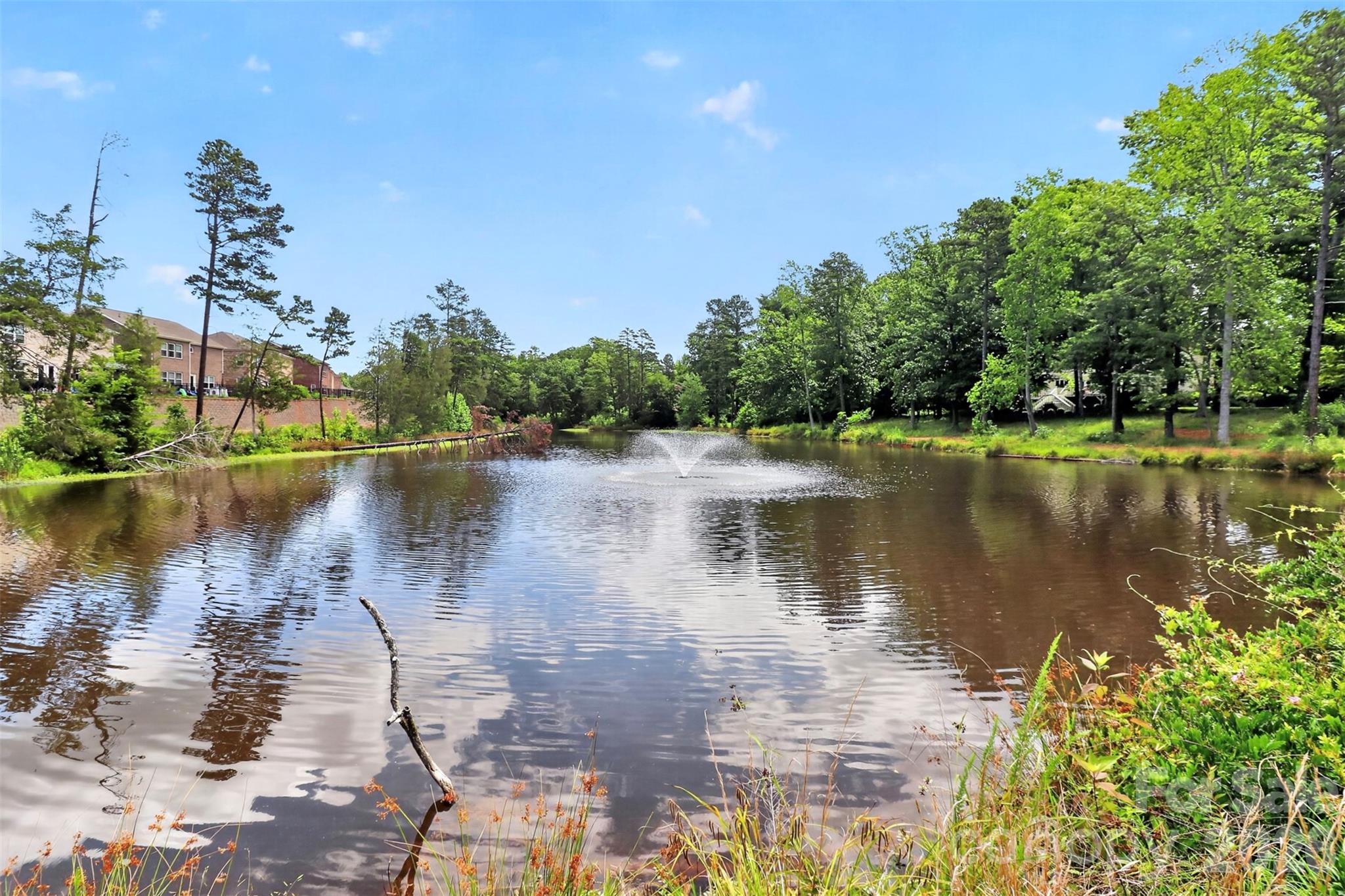 9134 Ramsford Road Charlotte, NC 28227 - Photo 22 of 22