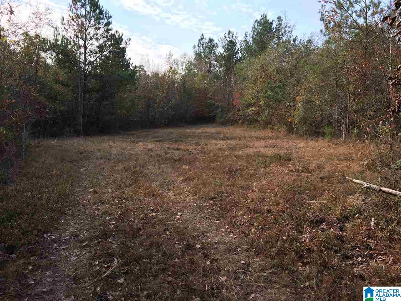 0 Wooden Trace Circle, Unit 30 Springville, AL 35146 - Photo 20 of 25